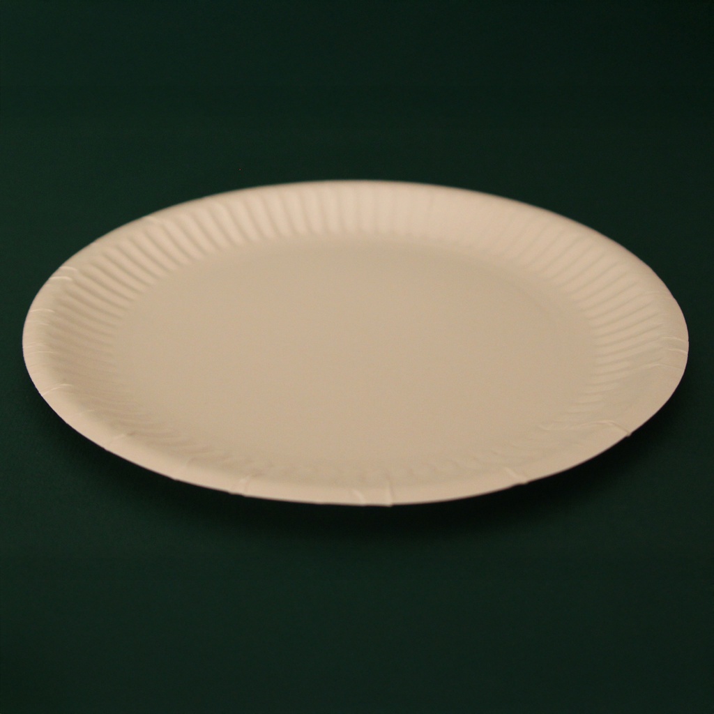 Bord 15 cm Karton 100 st