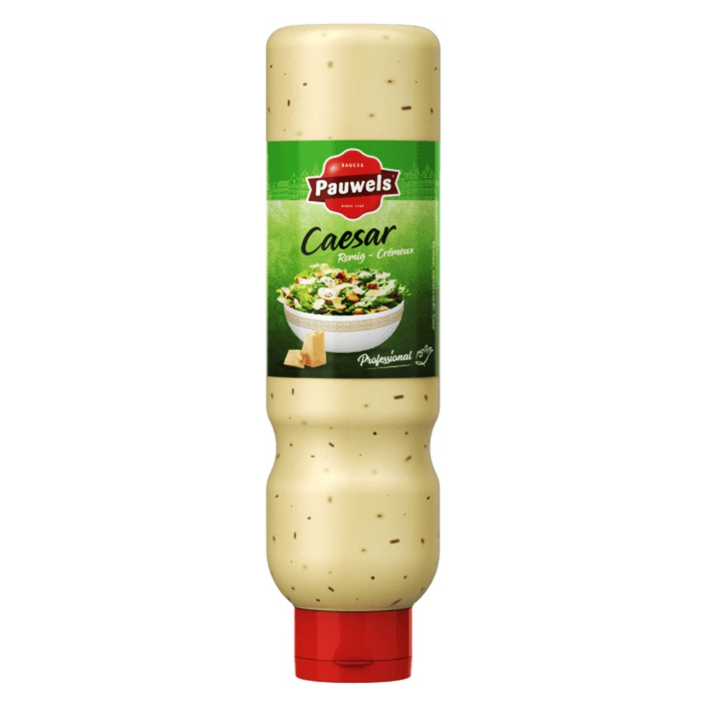Ceasar saus Pauwels Tube 925 gr
