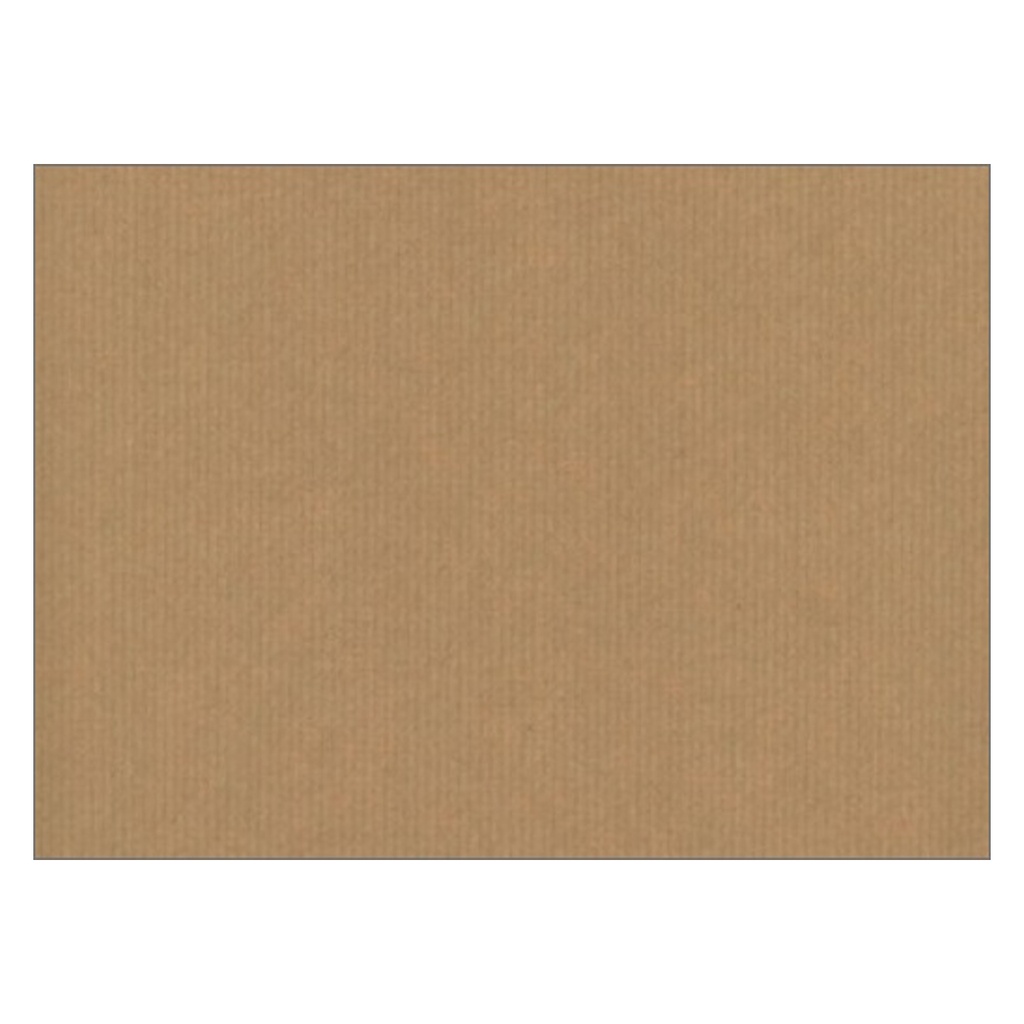 Placemats Kraft Gautier 500 pcs