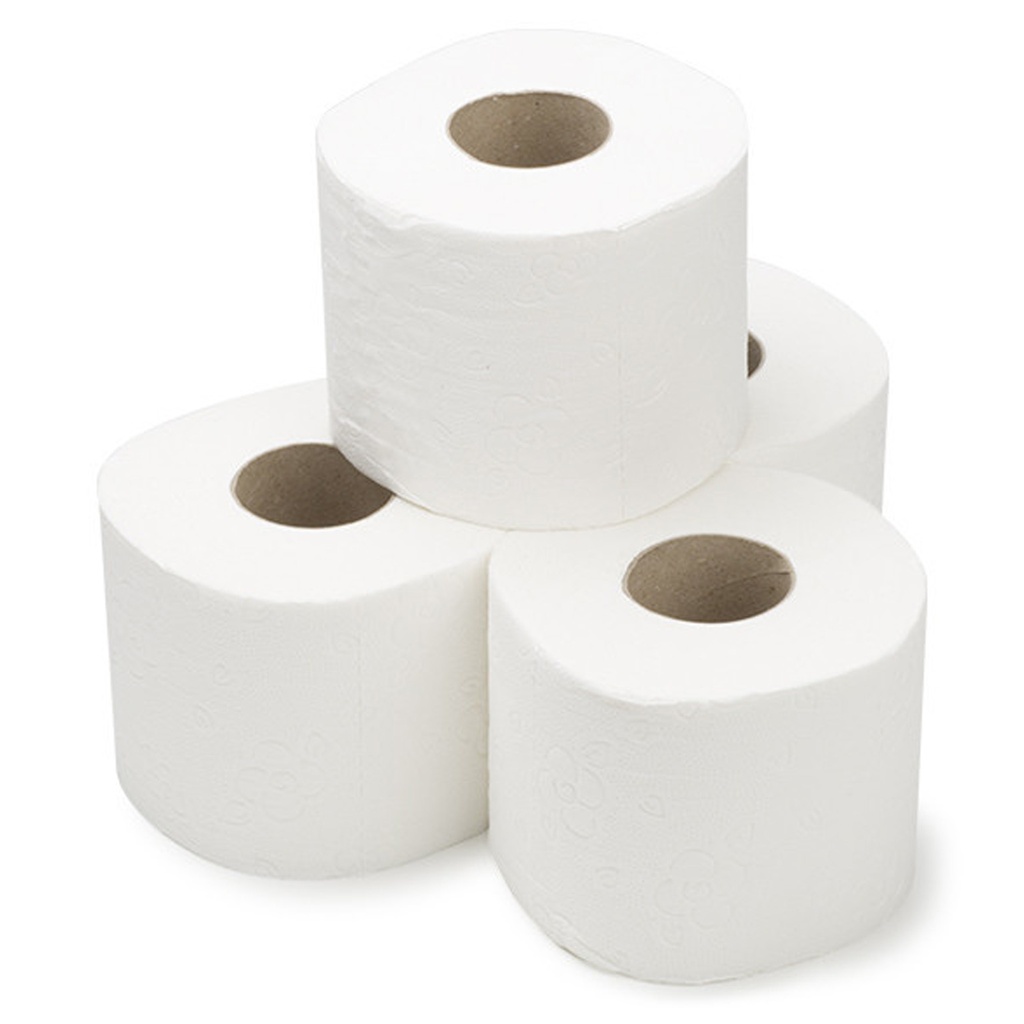 Papier Toilette En Gros Blanc 40 rouleaux (10 000 feuilles)