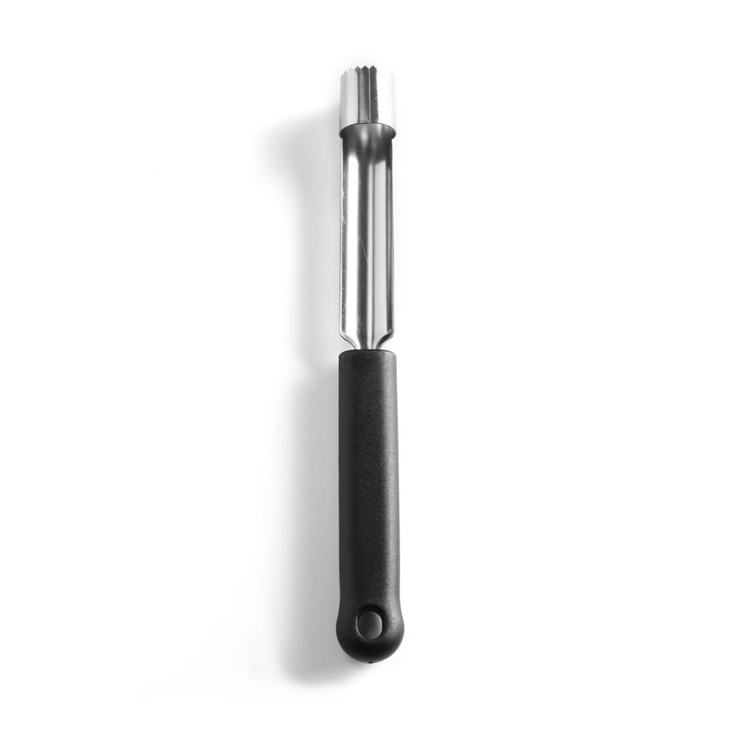 856079 Appelboor Hendi 1 st