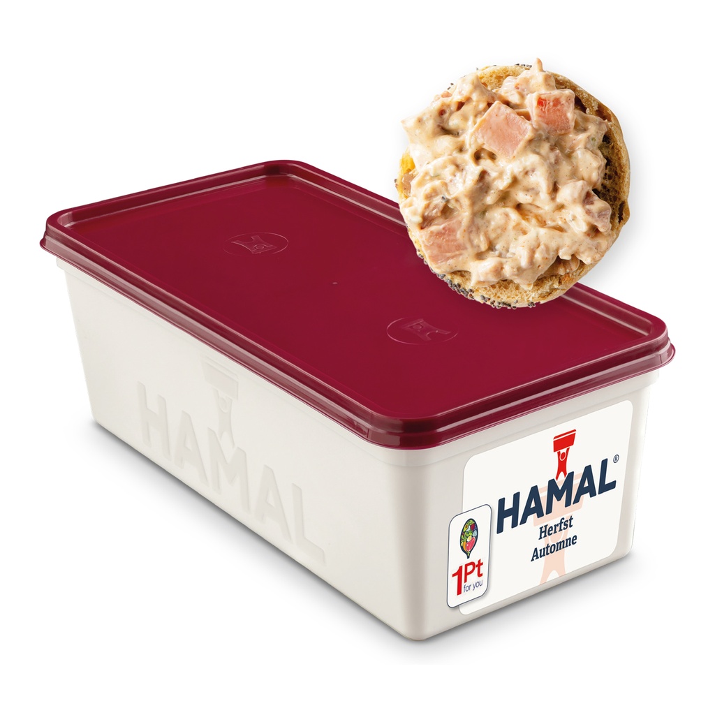 Salade d'Automne Hamal Barquette 1 kg
