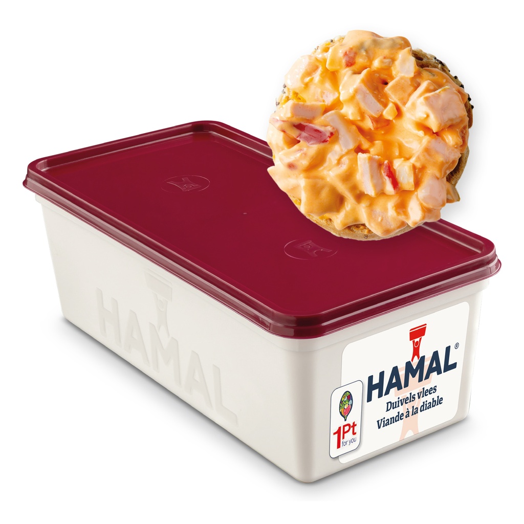 Duivelse Vlees Salade Hamal Bak 1 kg