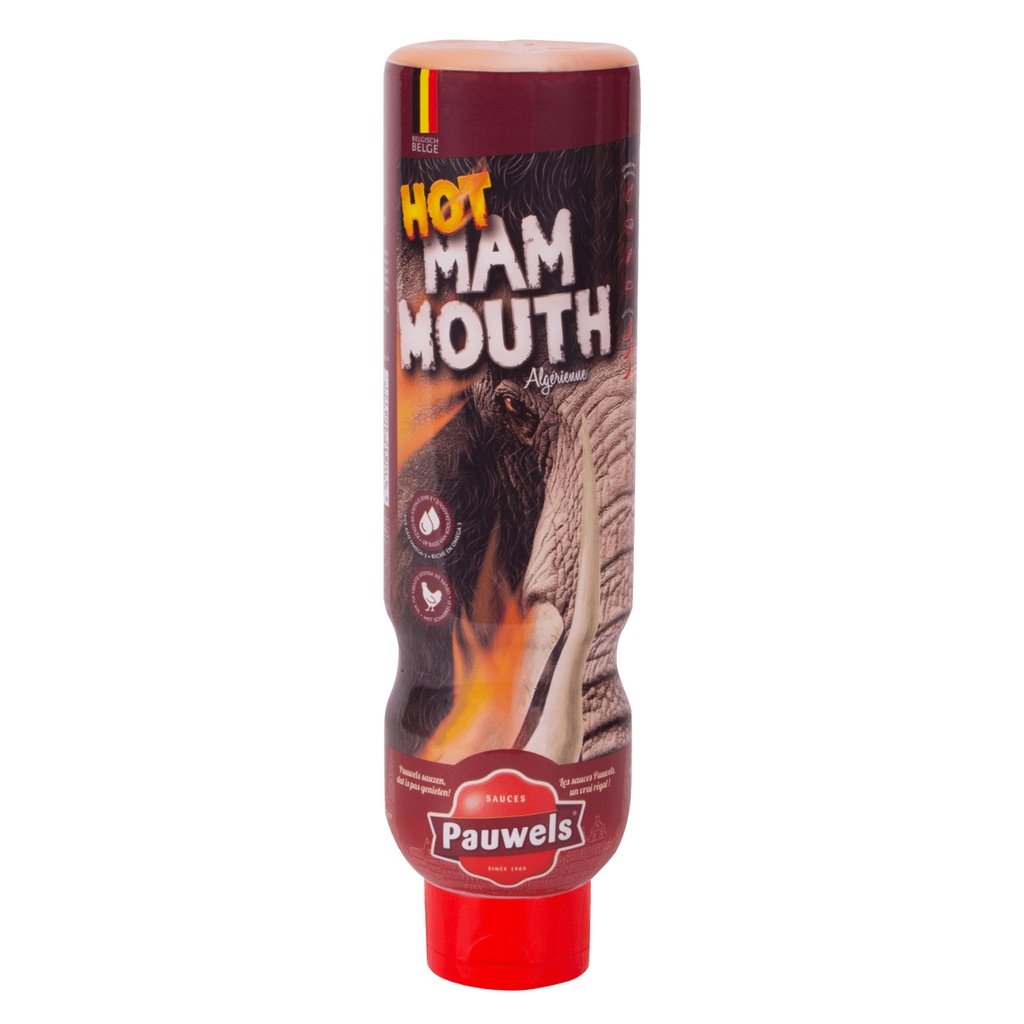 Hot Mammouth Saus (Algérienne) Pauwels Tube 1 L