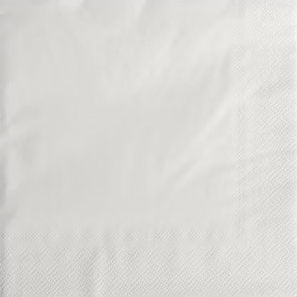 Napkin 1-ply 33 cm White 500 pcs