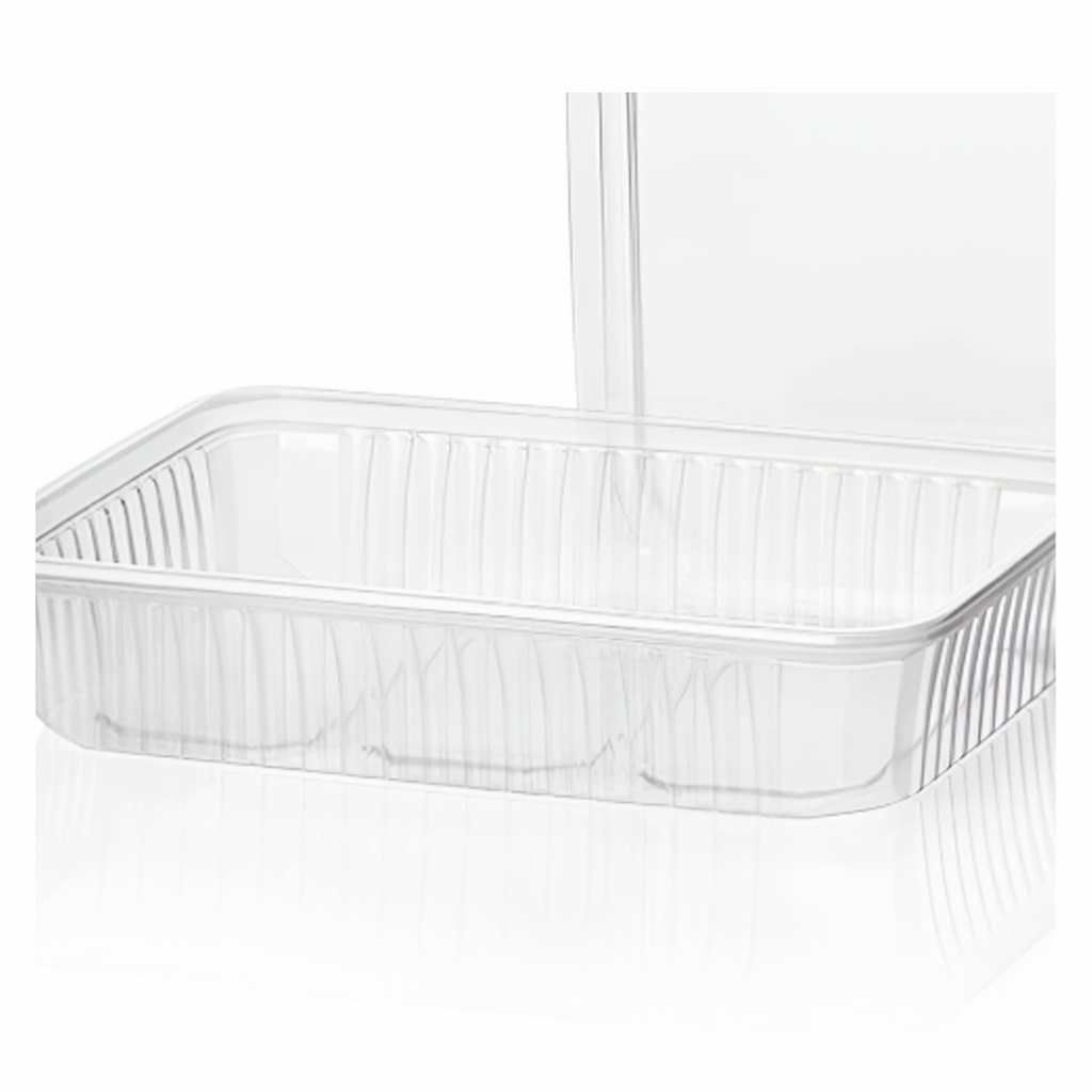 Bac à Spaghetti Rectangle - 500 cc 12 x 50 pcs