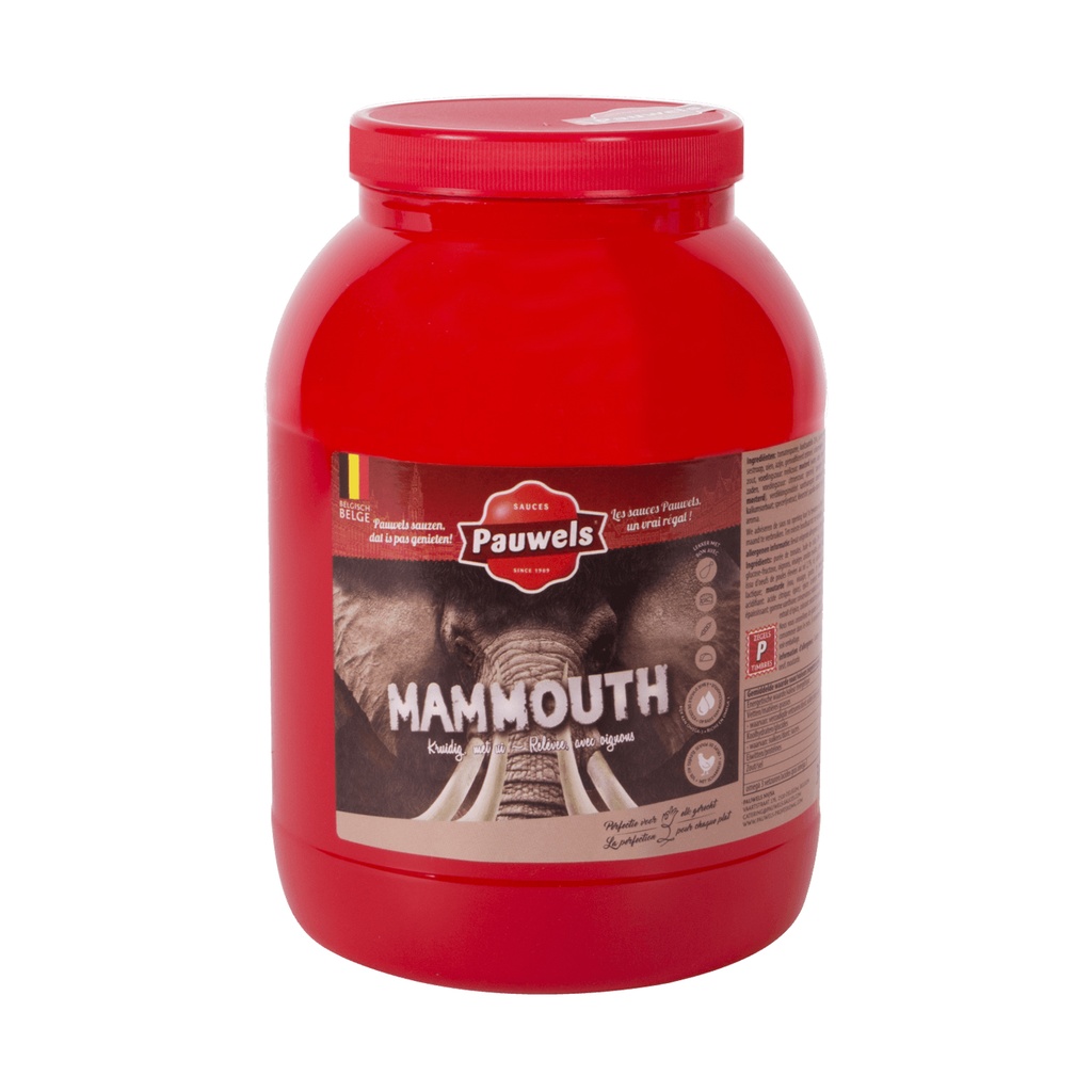 Mammouth Saus Pauwels Pet 3 L
