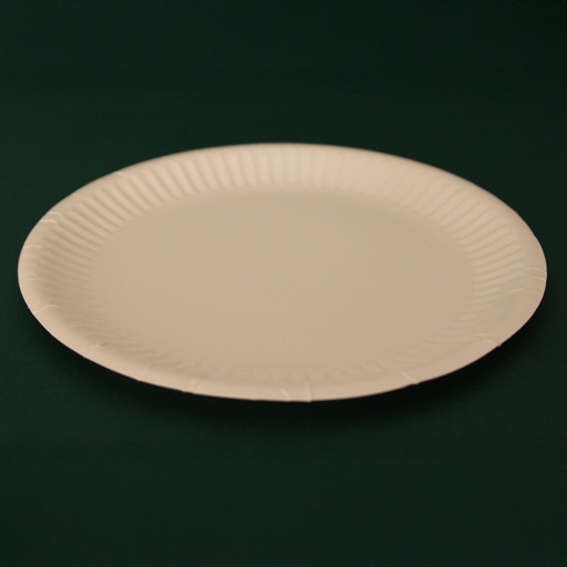 [4570] Bord 15 cm Karton 100 st