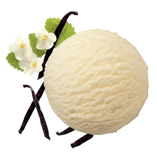 [9124] Glace Vanille Ijsboerke Caddy 5 L