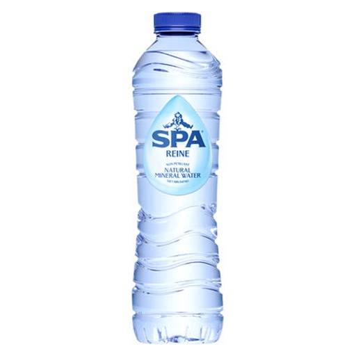 [19274] Spa Reine Bleu Pet 24 x 50 cl