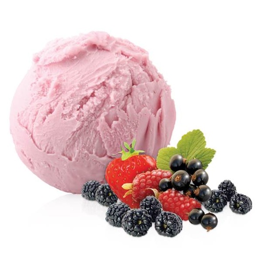 [9138] Roomijs Yoghurt/Bosvruchten Il Primo (Venezia) 2.5 L