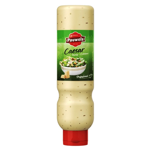 [PR/13987] Ceasar Salad Sauce Pauwels Tube 925 gr