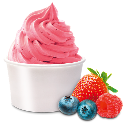 [9063] Yaourt Glacé Fruits des Bois One Shot 18 x 160 ml