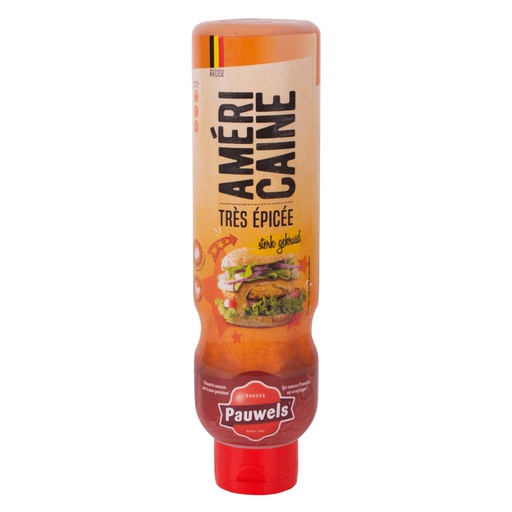 [6163] Amerikaanse Saus Sterk Gekruid Pauwels 925 gr