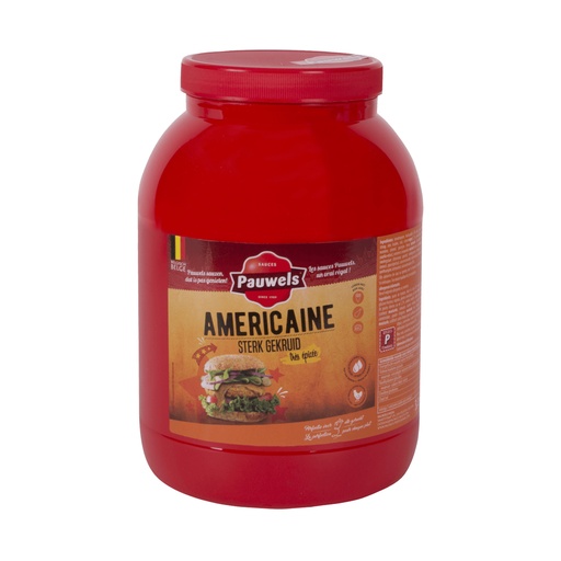 [6111] Americaanse Saus Pauwels Pet 3 L