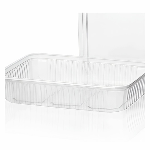 [4090] Spaghetti Container Rectangular 500 cc 12 x 50 pcs