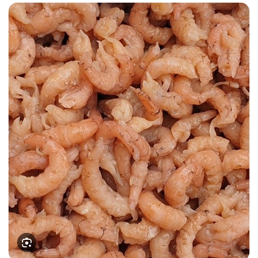 [9851] Grijze Gepelde Vers Garnalen 1 kg