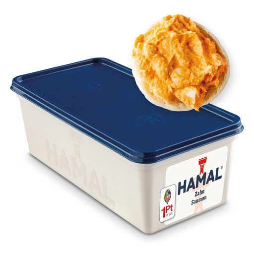 [3544] Zalm Salade Hamal Bak 1 kg